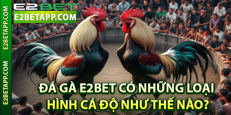 Đá gà E2bet có những loại hình cá độ như thế nào?