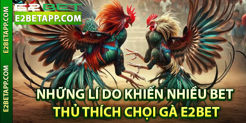 Những lí do khiến nhiều bet thủ thích chọi gà E2bet