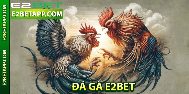 Tổng quan về sảnh cược đá gà E2bet