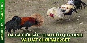 Đá gà cựa sắt là loại hình gì?